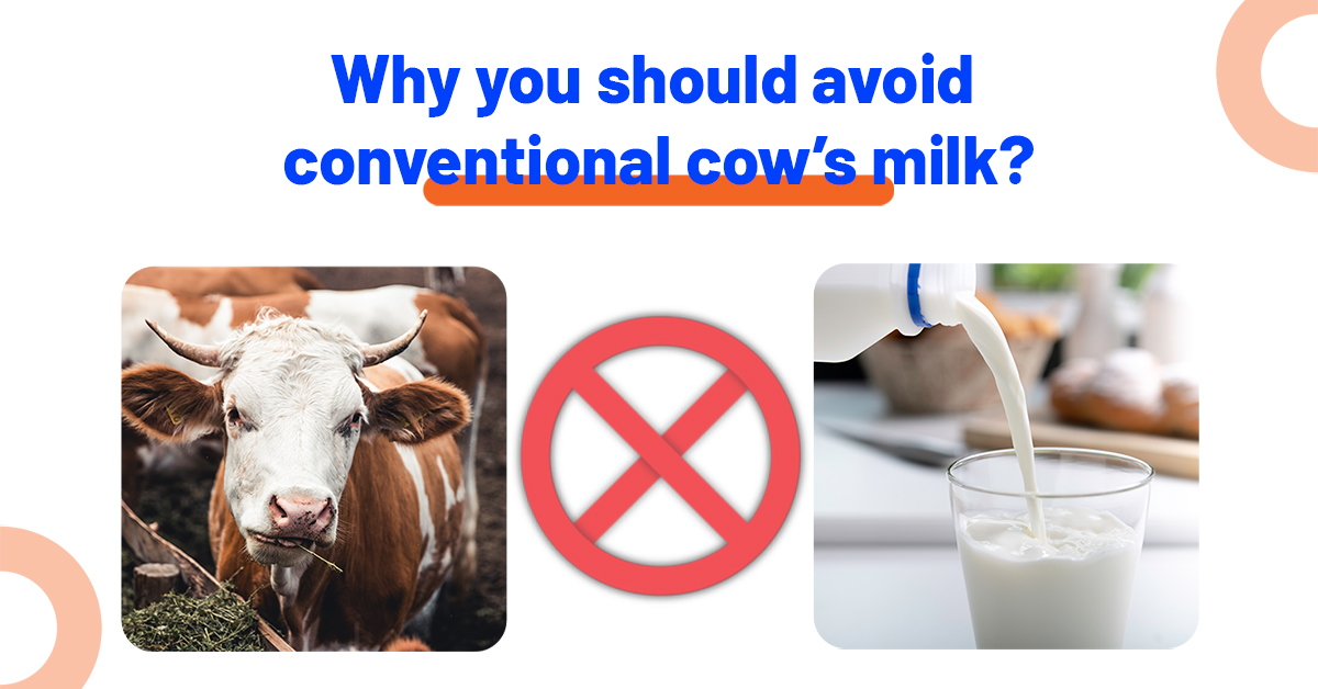 Its-Better-to-Avoid-Conventional-Cows-Milk